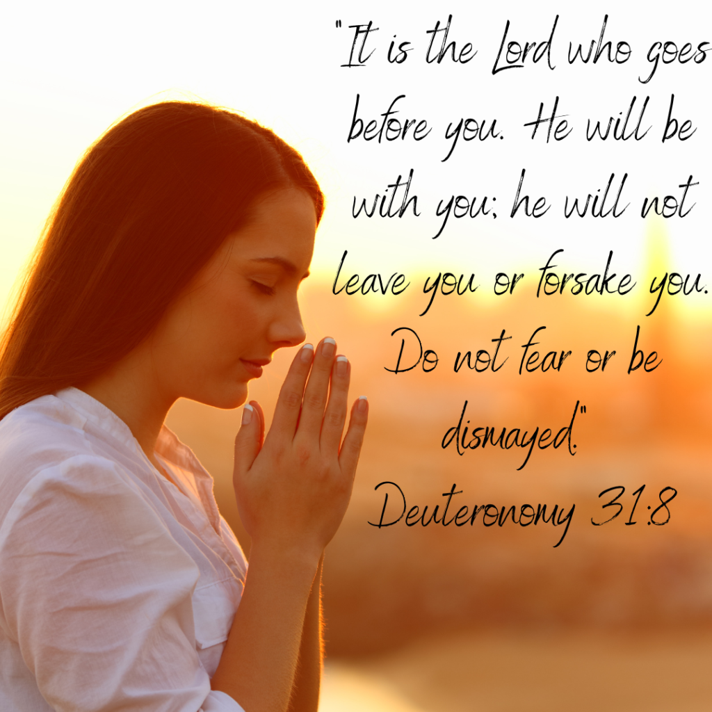 Deuteronomy 318 It is the Lord who goes before you. He will be with you; he will not leave you or forsake you. Do not fear or be dismayed.
