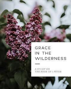 grace in the wilderness