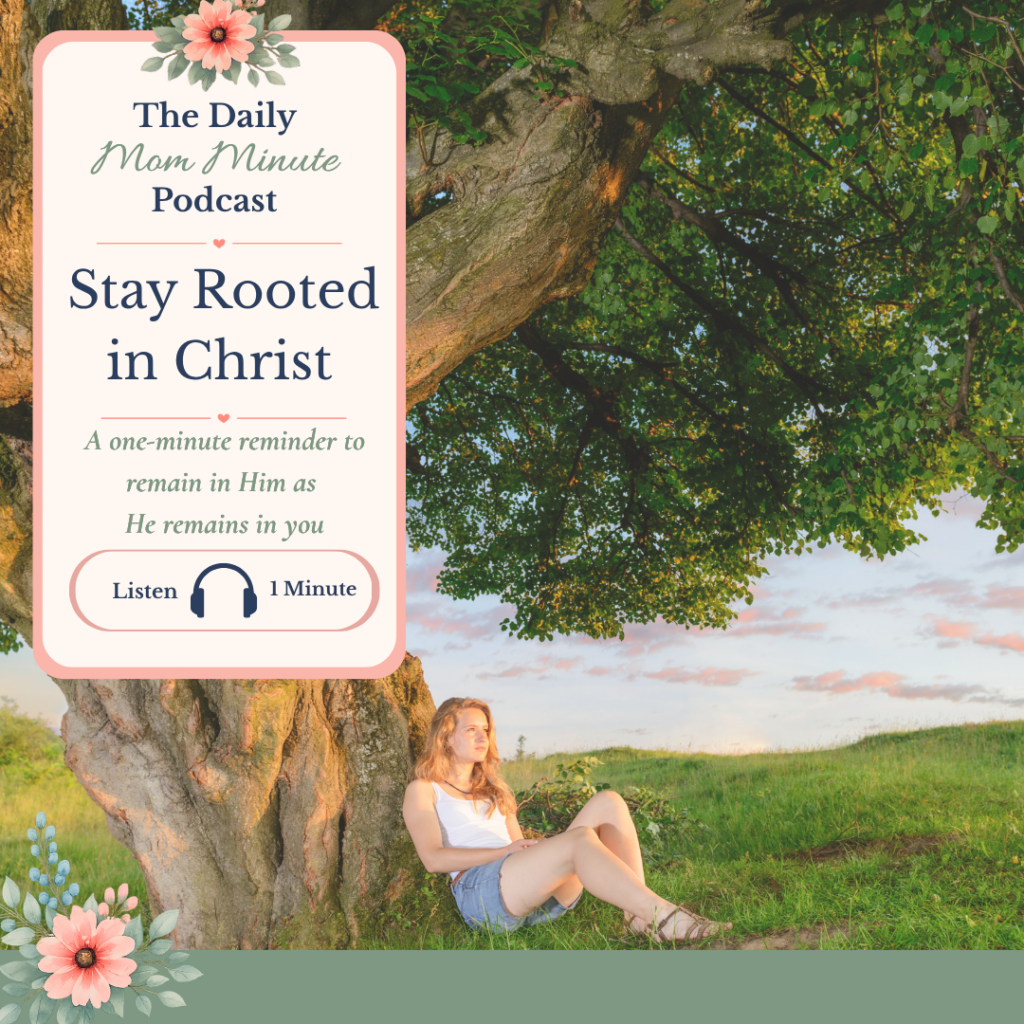 Stay Rooted in Christ